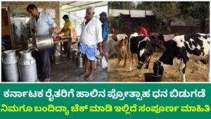 649.76 crore milk incentive fund released to Karnataka farmers