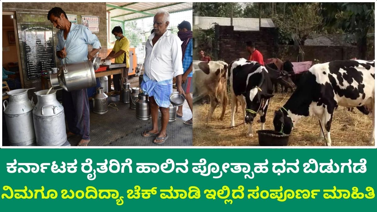 649.76 crore milk incentive fund released to Karnataka farmers