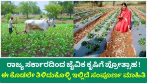 Encouragement for Organic Farming by State Govt