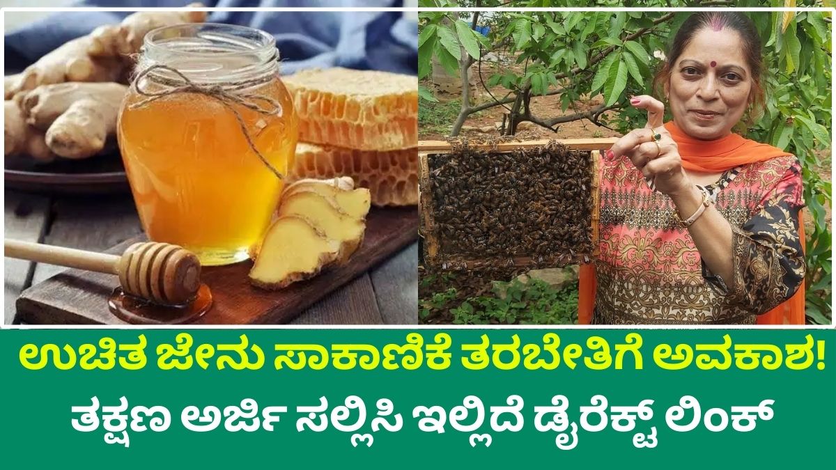 Opportunity for free bee farming training from Govt