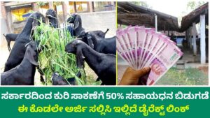 Release of 50% subsidy for sheep farming by Govt