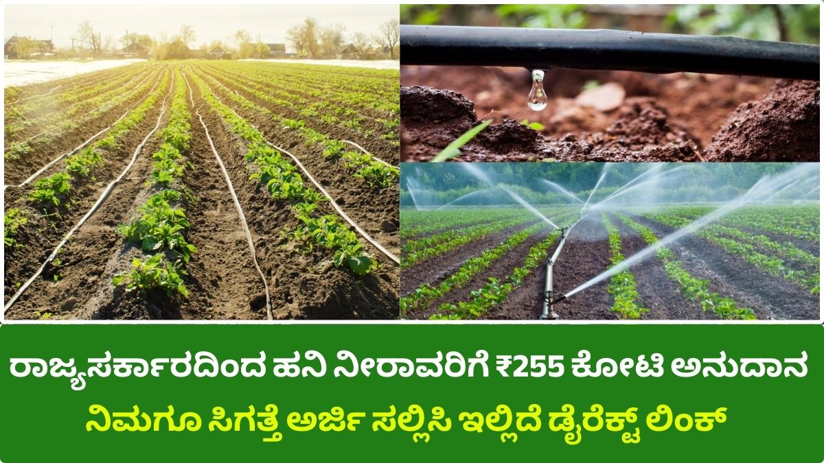 State Government grants up to ₹255 crore for drip irrigation